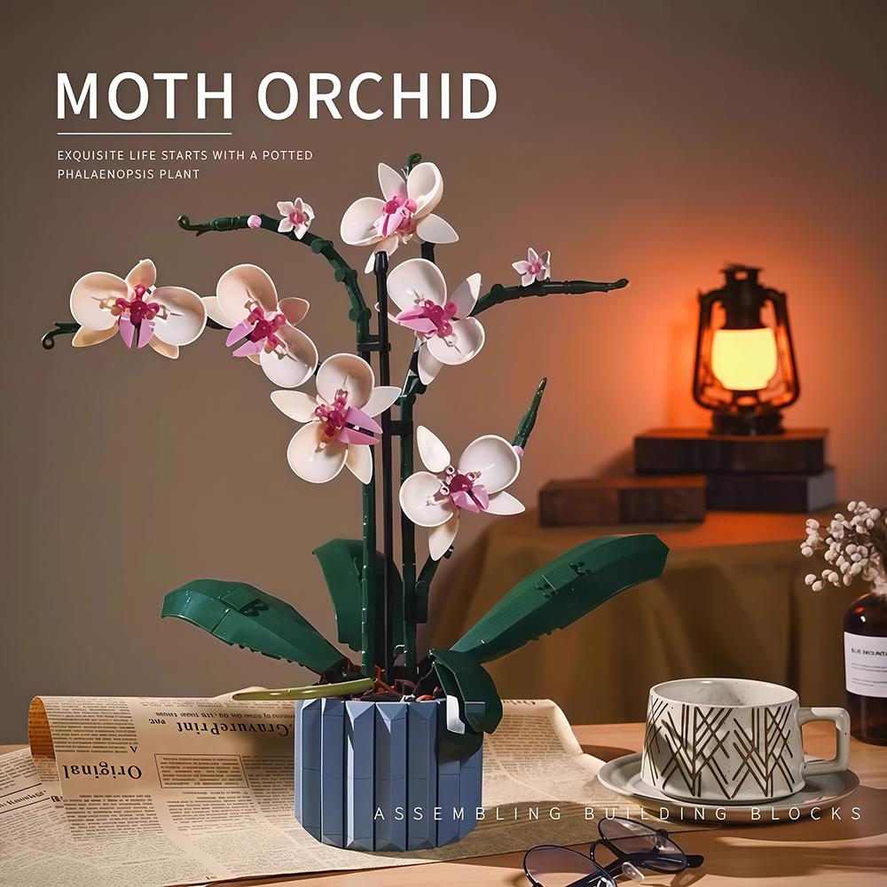 Phalaenopsis Baustein-Set für Kinder - Lustige Simulation einer blühenden Topfpflanze, Ideal zur Dekoration von Zimmern & Geschenke für Mädchen