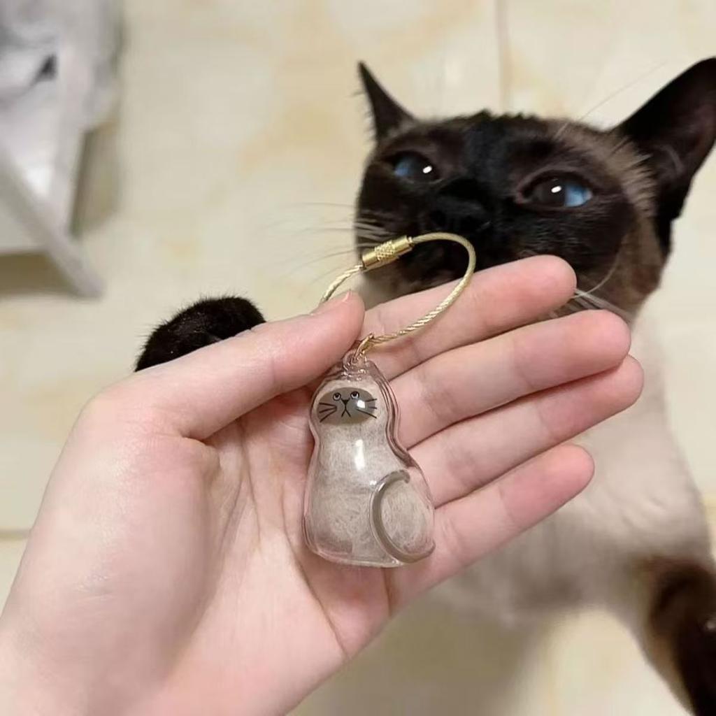 1/3pcs Transparent Cat Memorial Capsules Pet Hair Keepsake Box with Hanging Loop for Cat Lovers Gift Pendant Keychain Pet Access