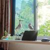 2pcs Wooden Seagull Statues – Nautical Coastal Bird Figurines for Beach Home Decor