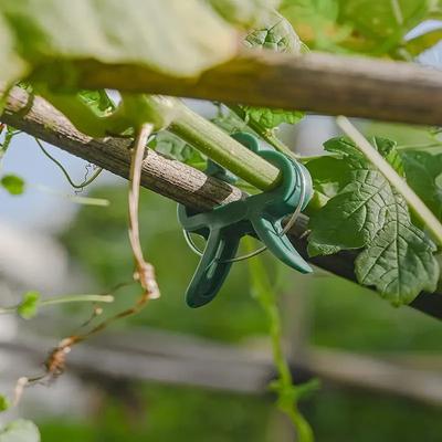 20-200PCS Plant Fixed Clips Reusable Garden Greenhouse Bracket for Fixed Plants Vine Seedling Tomatoes Support Garden Supplies