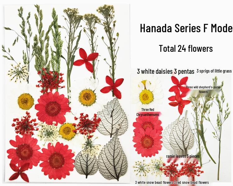 Handmade Kindergarten Collage: Real Dried Leaf and Flower Stickers for Face and Photo Decoration