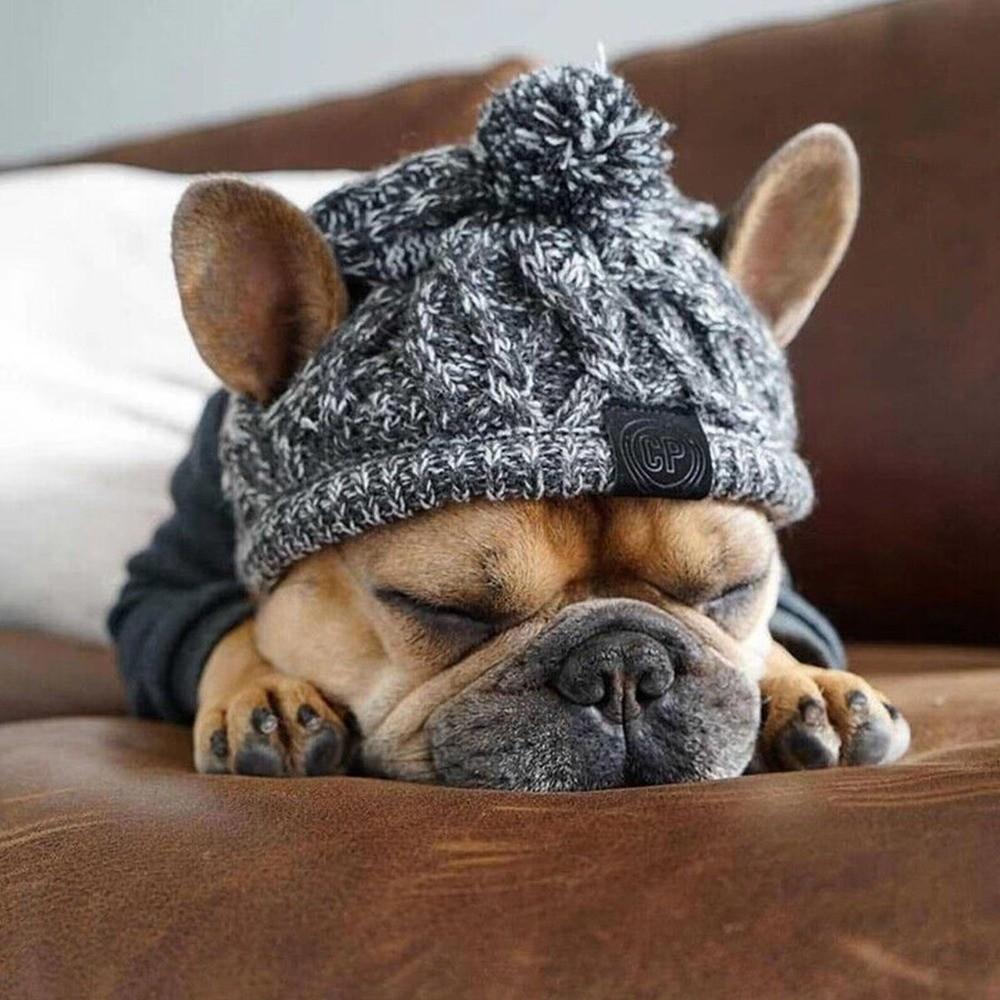 New Winter Warm Dog Hats Windproof French Bulldog Hat Fluffy Ball Pet Hat Chihuahua Hat Knitting Puppy Accessories For Dogs