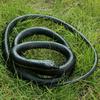 Fake Snake Toy Vivid Appearance Smooth Surface Long Snake Toy Prank