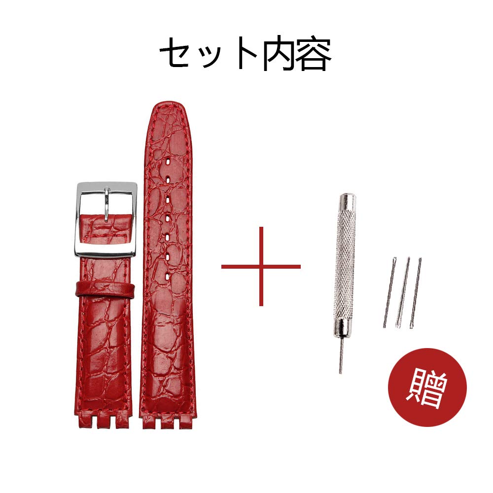 ZHUOLEI Replacement Watch Strap for 17mm 3 Spring Spring Bar and Swatch, (Includes Bars, Remover, Box)
