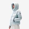 Li Ning Hot Pots Down Collection Down Jacket Women's AYMV398-9
