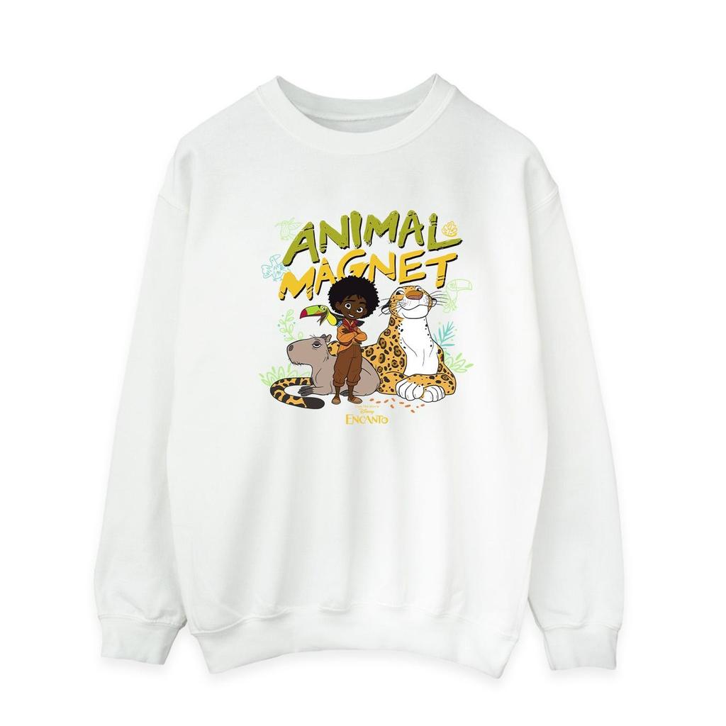 Disney Mens Encanto Animal Magnet Sweatshirt