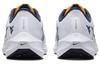 Nike Pegasus 40 West Virginia DZ6005-100