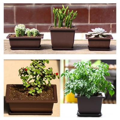 Bonsai Pots Bonsai Accessories Rectangle Plant Pots for Plants Outdoor Garden Pot Flowerpots for Succulents Tray Garden Supplies