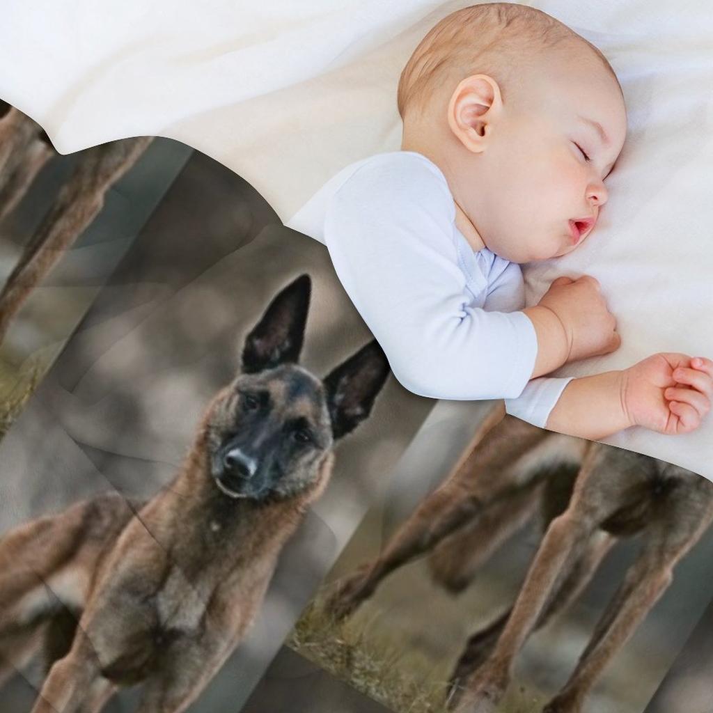 Belgian Shepherd Malinois Amazing Throw Blanket Warm Winter Multi-Purpose Furrys Polar Blankets