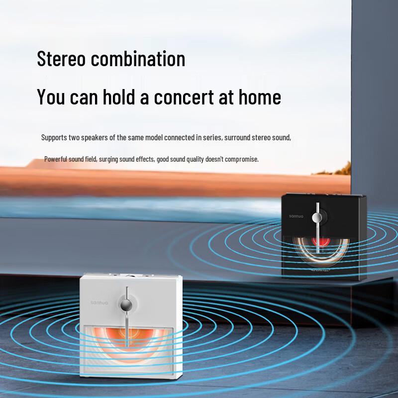 Duiban Peninsula Mini Bluetooth Speaker YE01 CN plug (adapter included)