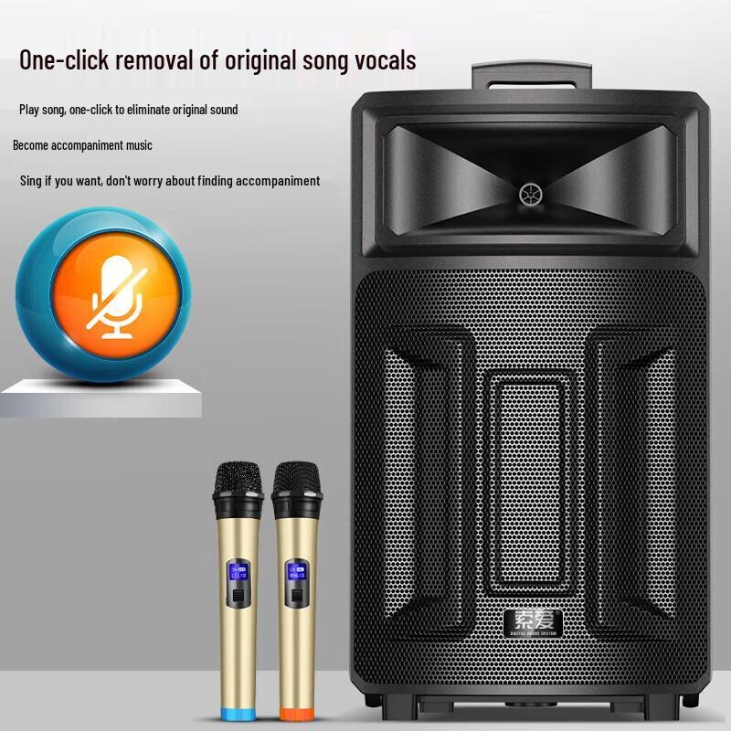 Suoai Portable High-Power Karaoke Speaker with Dual Microphones CN Plug (adapter Included)