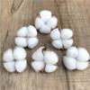 10PCS White Cotton Florist Supplies Wedding Car Decorative Wreaths Christmas Home Decor Diy Gifts Box Cheap Artificial Flowers