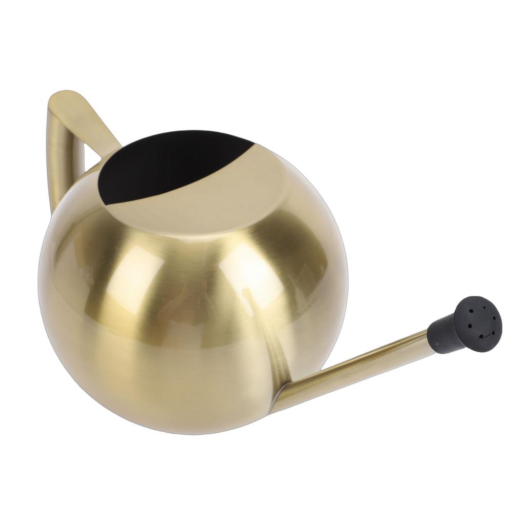 Watering Can with Long Spout 1000ml Stainless Steel Round Indoor Plant Watering Can with Detachable Head for Home