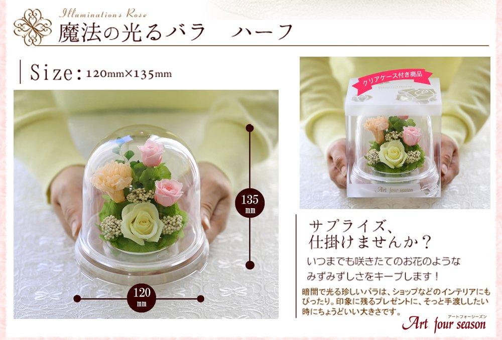 Art for Seasons Half "Glowing Rose" Firefly Pastel Blue Glowing Preserved Flower