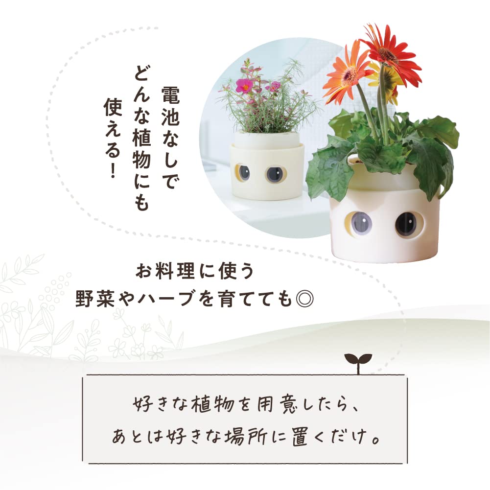 [Amepura] Pet Pot Pet Pot Planter Plant Watering Home Garden (1)