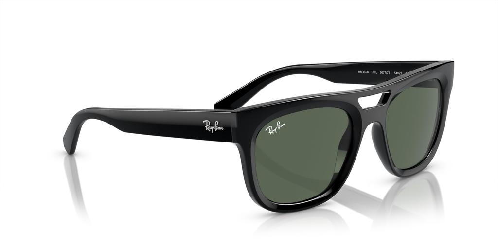 Sunglasses RB4426 PHIL BLACK 54 [Ray-Ban]