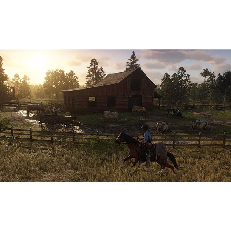 Sony PlayStation Red Dead Redemption 2 Game Disc