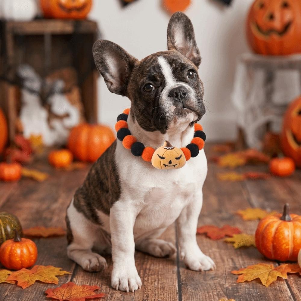 Adjustable Rope Orange Dog Collar Soft Cat Collar Cute Halloween Pet Collar Party