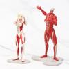 8pcs Attack on Titan Anime Figures Armored Colossal Titan PVC Action Figure Collection Model Desktop Decoration Toy Gifts