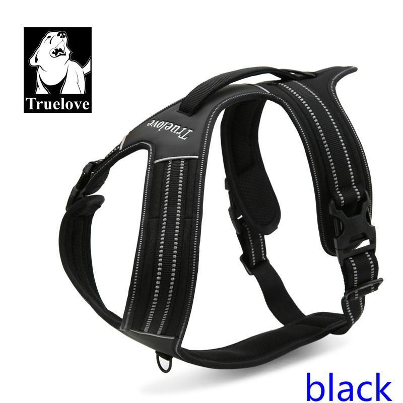 truelove front range