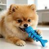 Gummi Knochen Hundespielzeug Fischgrätenform Hundekauspielzeug Zahnpflege Spielzeug für aggressive Kauer Interaktives Training Apportieren