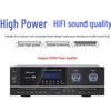 SAST PA-315V High-Power Home KTV Amplifier