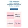 The Face Shop Dr.Belmeur Daily Repair Moisturizer 120ml
