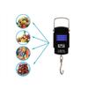 Compact Portable Digital Scale With Hook For Fishing And Food Weighing