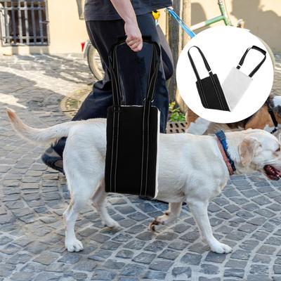Köpek – Köpek Tasmaları ve Tasma Kayışları