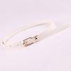 New Multi-color Decorative Dress Sweater Thin Belt Women's Versatile Pin Buckle Belt