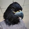 Neue Hawk Maske Adler Vogel Kopfschmuck Halloween Kostüm Party Cosplay Requisiten Adler Masken Party Karneval Festival Dress up Prop