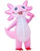 Costumes et accessoires – Mascottes