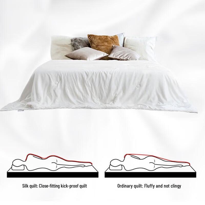 

Musy Sofina DSZ1-039 All-Season Tussah Silk Two-in-One Duvet