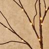Elegante 50-LED Verlichte Berkentaklamp - Werkt op batterijen, Realistische Kunstboom voor Kerstmis, Bruiloften & Huisdecoratie (Batterijen niet inbegrepen)