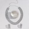 Source Fashion Claw Chain Loop Rhinestone Necklace Earrings Set Dinner Dress Collarbone Chain Necklace Women