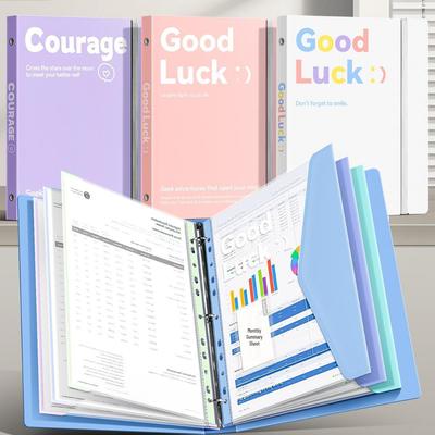 Raccoglitore ad anelli formato A4 con inserti trasparenti per l'archiviazione di documenti e fogli di test