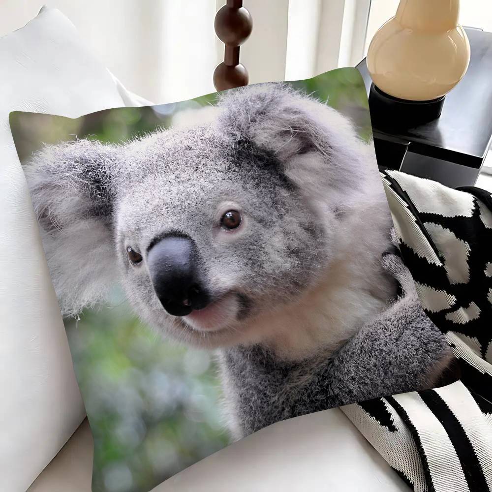 Süßer Koala Kissenbezug Modischer Quadratischer Kissenbezug Schlafzimmer Sofa Raum Ins Dekoration Freizeit