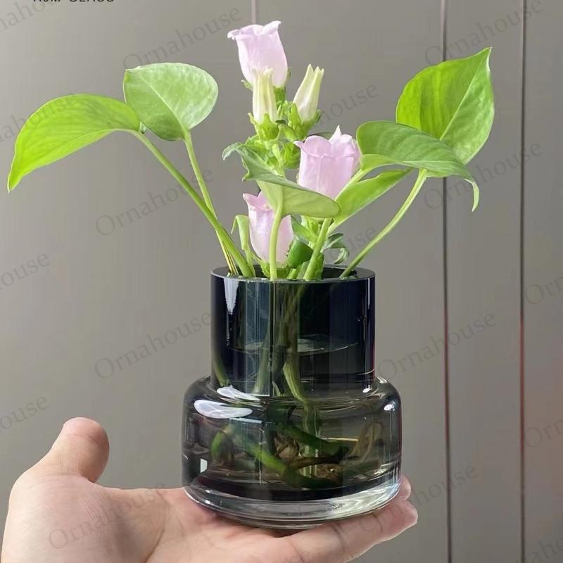

Nordic Creative Glass Vases, Luxury Dining Table Flower Arrangements, Hydroponic Decorations and Ornaments, Terrarium