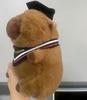 23Cm Graduation Capybara Plush Dolls Stuffed Animal Doctoral Cap Graduation Plush Toys Graduation Gifts