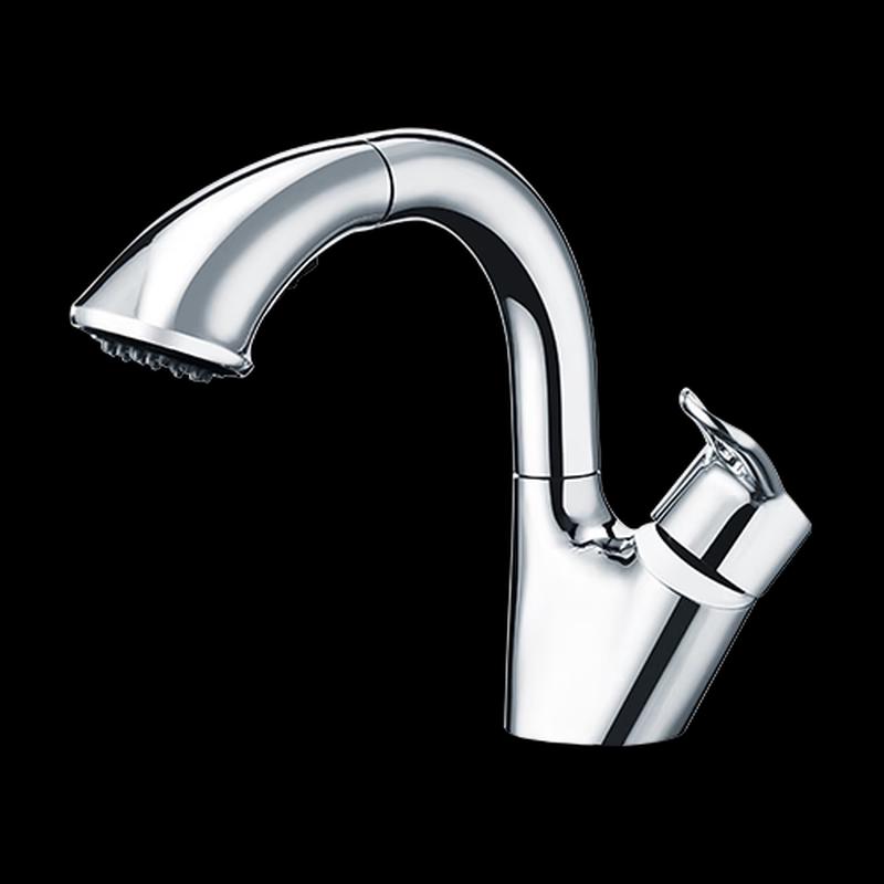 

Moen Carey Single-Handle Pull-Out Basin Faucet