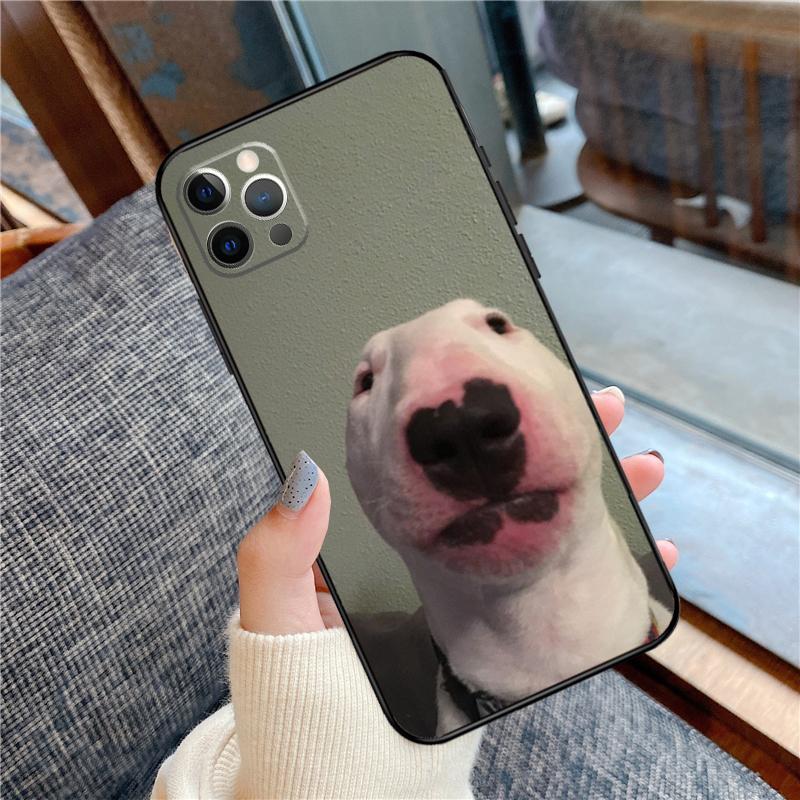 

Walter Dog Meme Cute Phone Case For iPhone 16 15 14 13 12 11 Pro Max 12 13 mini XR 15 16 Plus 16e Cover Shell iPhone 14