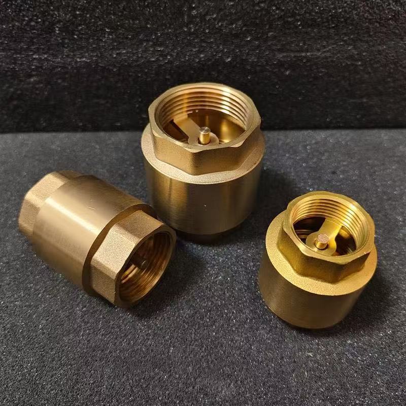 Manual Brass Vertical Check Valve for Water One-Way Spring Check Valve