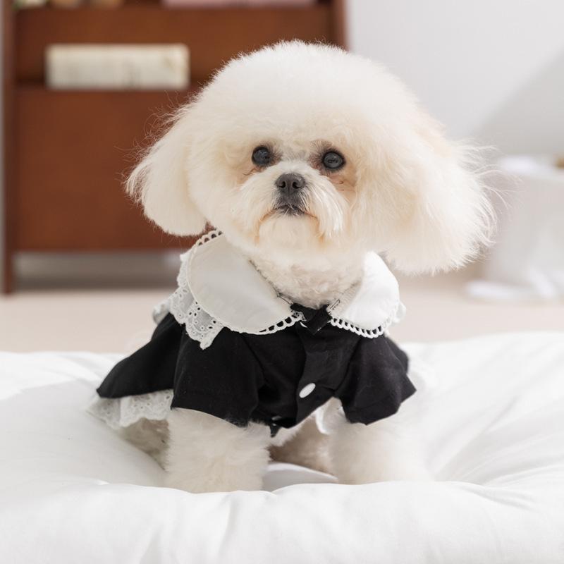 25 years old new spring and summer JK college style dog dress maid cat skirt small dog pet clothes