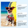 Dog Nose Sunscreen Oil, Pet Sunscreen, Moisturizes And Protects Sensitive Noses. Sunscreen Cream