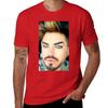 Perfection Adam Lambert T-Shirt individuell für einen Jungen Herren Baumwoll-T-Shirts
