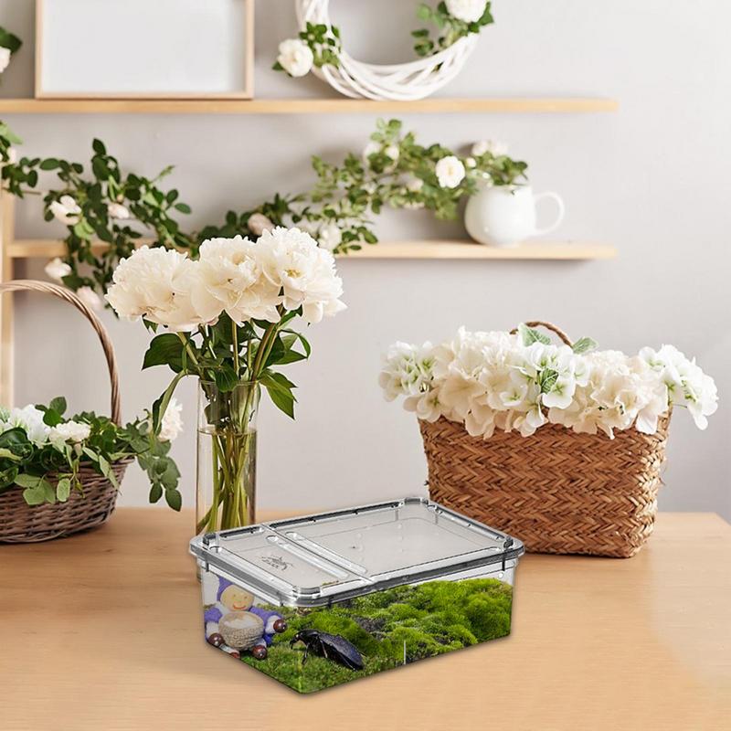 1 PZ Serbatoio per Rettili Insetti Ragni Tartarughe Lucertole pp Trasparente Scatola di Allevamento Coperchio Vivario Prodotto per Animali Rettili
