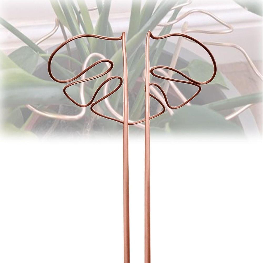 Support Branches Plant Support Ring Garden Tools Plant Retaining Support  for Flower Lovers