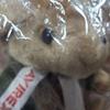 [USED] Direct Store Exclusive AVIREX Avirex Stuffed Toy Teddy Bear