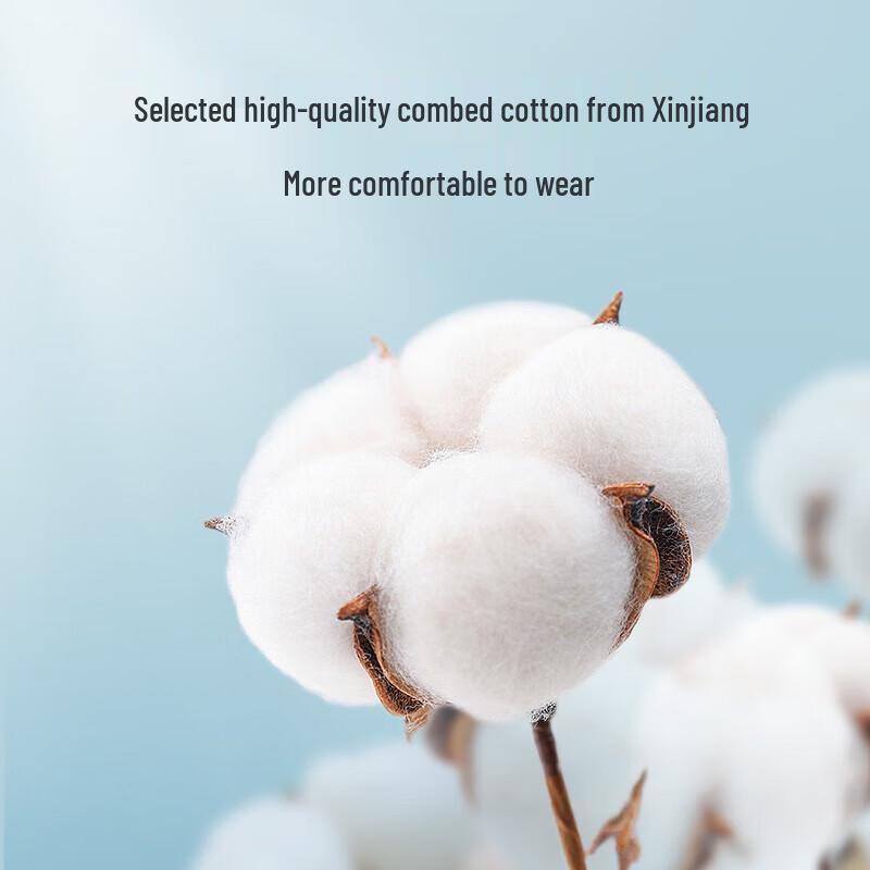 JD Collection Men's Disposable Boxer Briefs - 4 Pack