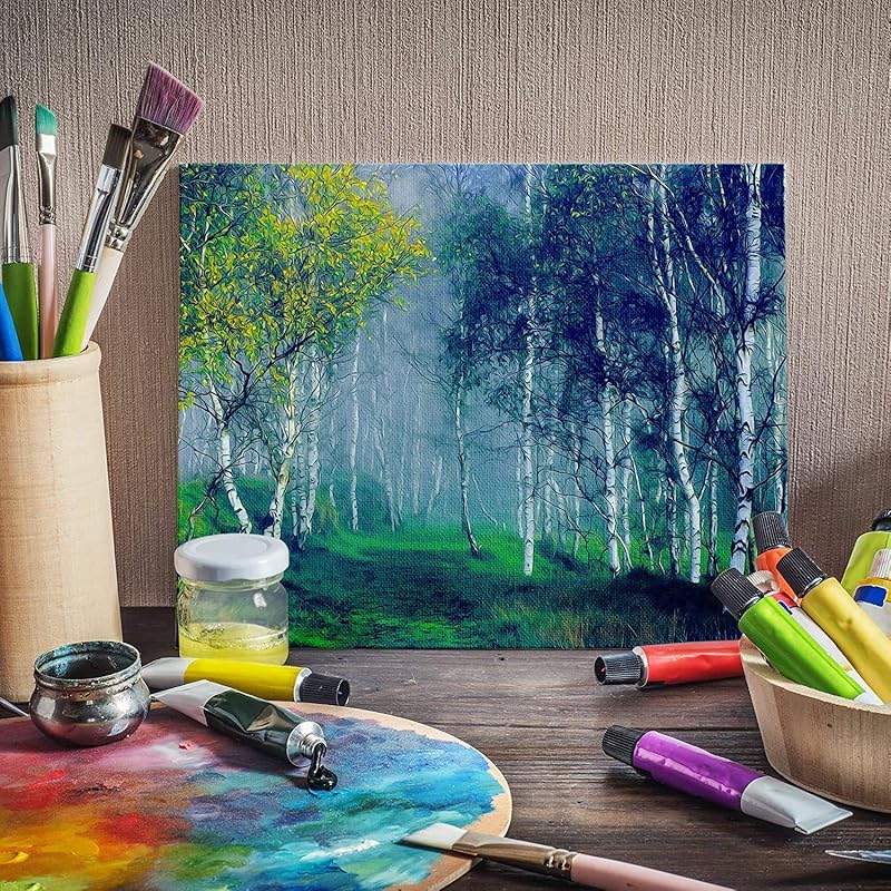 

VARIETY CANVAS 10 X 10 Inch Cotton Canvas Board for Painting, 7OZ Primed, Pack of 2 Piece - White 0 белый